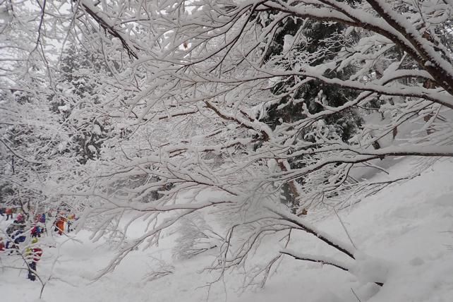 風雪の午後