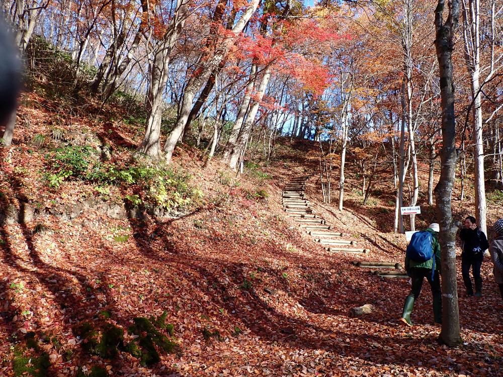 登りです