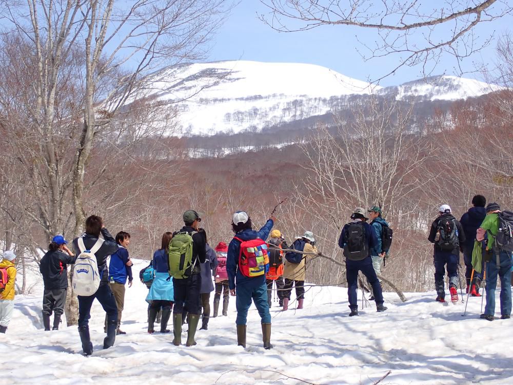 月山の高木限界線観察地点から