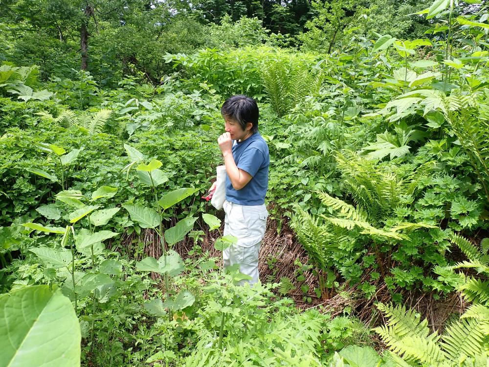 親水広場で観察を