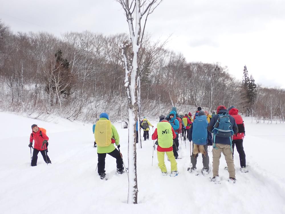 公園遊歩道の道路上中心に散策