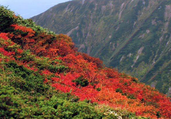 04.月山の秋