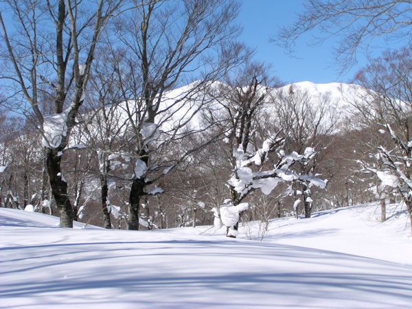 大門海平から 2