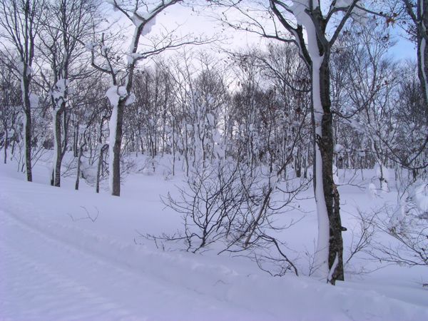 青空が