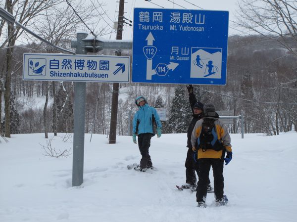 積雪 4m