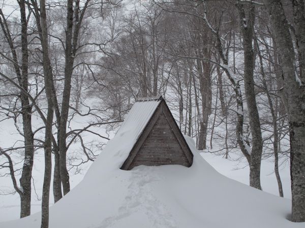 探鳥小屋