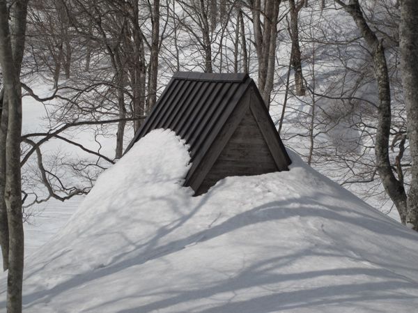 3/9 探鳥小屋