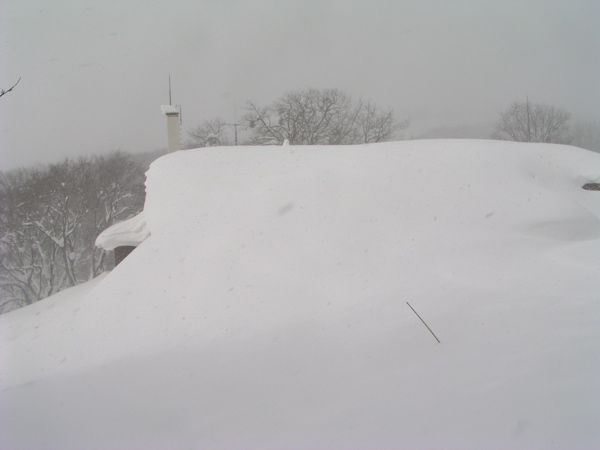 1月のセンタ-