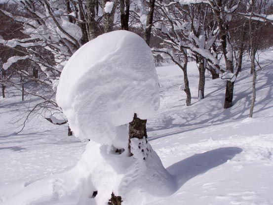 ある晴れた日に (1)