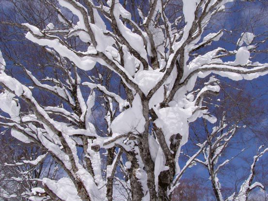 ある晴れた日に (2)