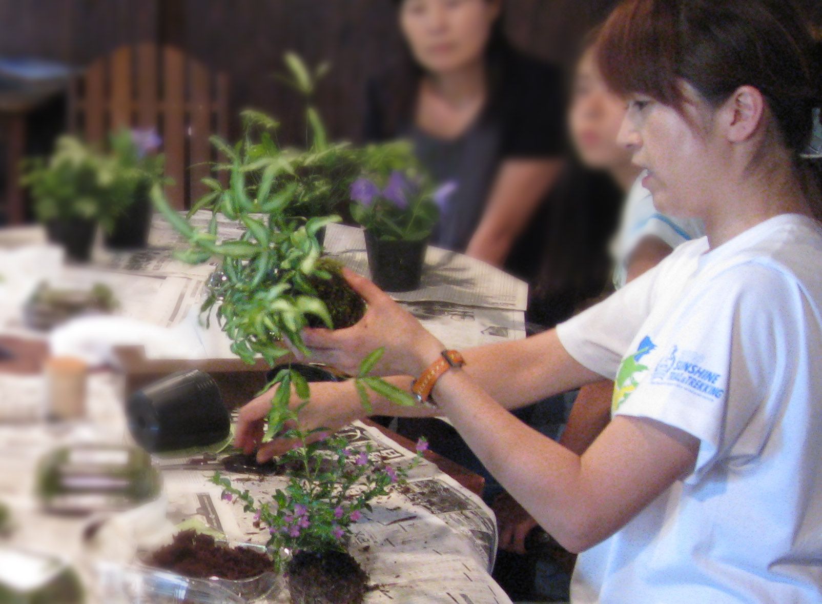 御殿市　苔玉教室参加者募集