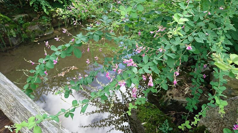 はぎ公園の一般開放について/はぎ苑