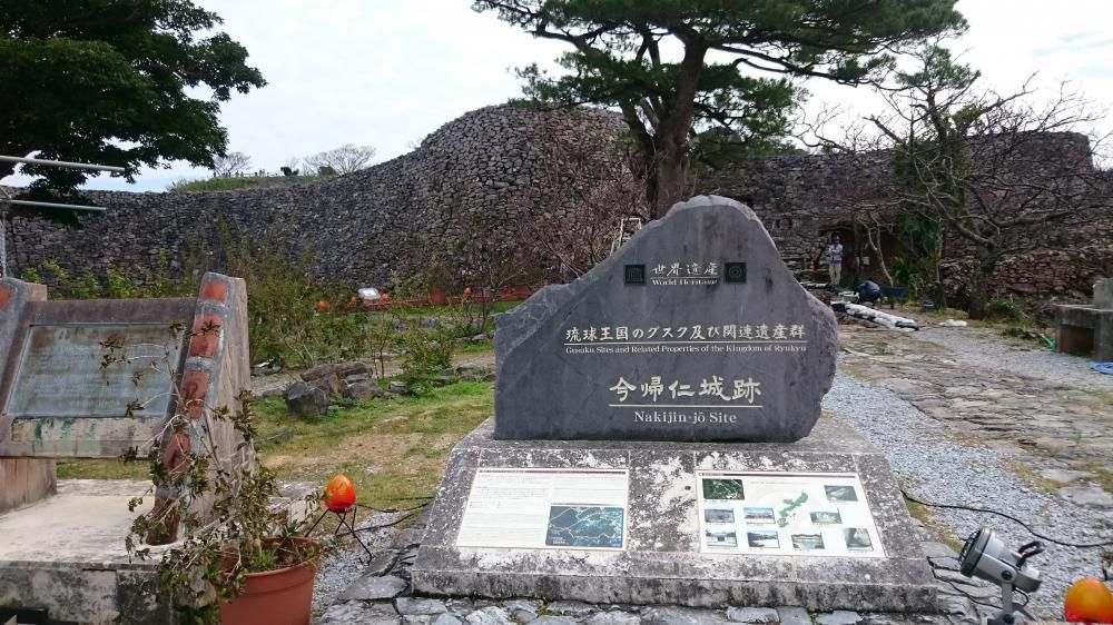 今帰仁の寒緋桜や日脚伸ぶ