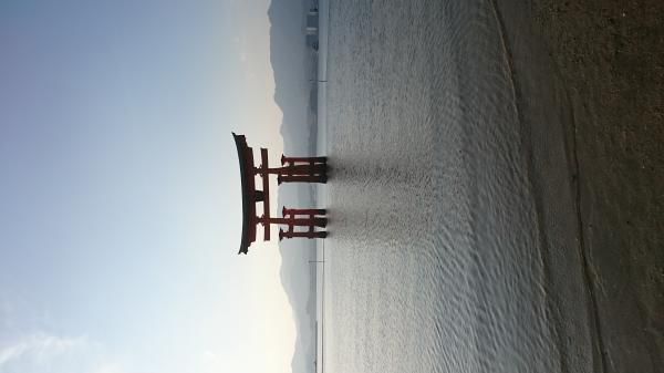 春風や干潟に映える大鳥居