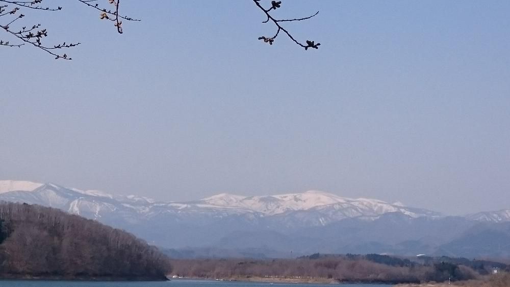 花冷えや雪輝ける蔵王山