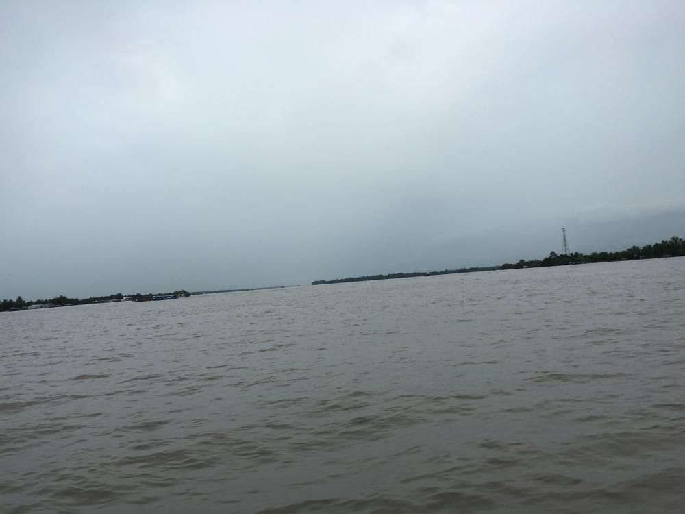 濁々とメコン流るや夏の雨