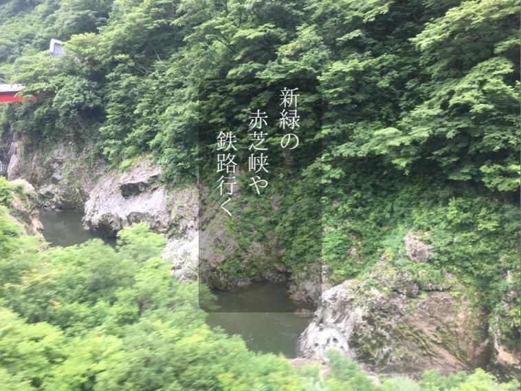 新緑の赤芝峡や鉄路行く