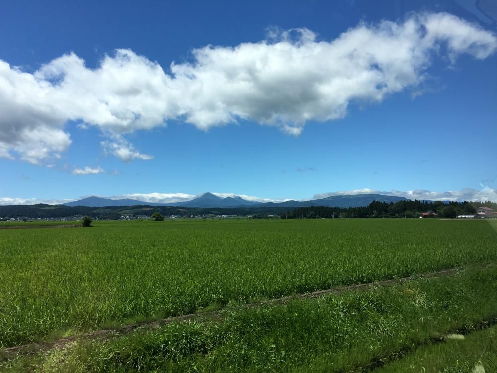 八甲田色際立つや雲の峰