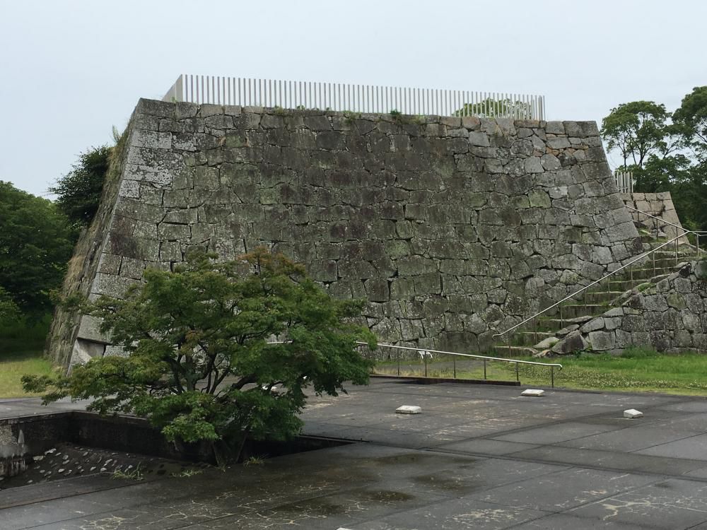 苜蓿天守無きまま在りにけり