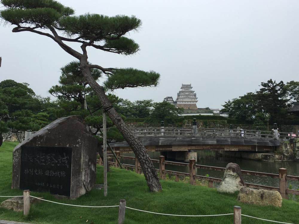 紫陽花や仰ぐ白亜の大天守