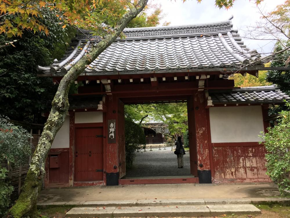 秋雨や吉野門入る常照寺