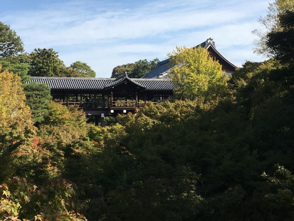 仰ぎみる通天橋や秋兆す