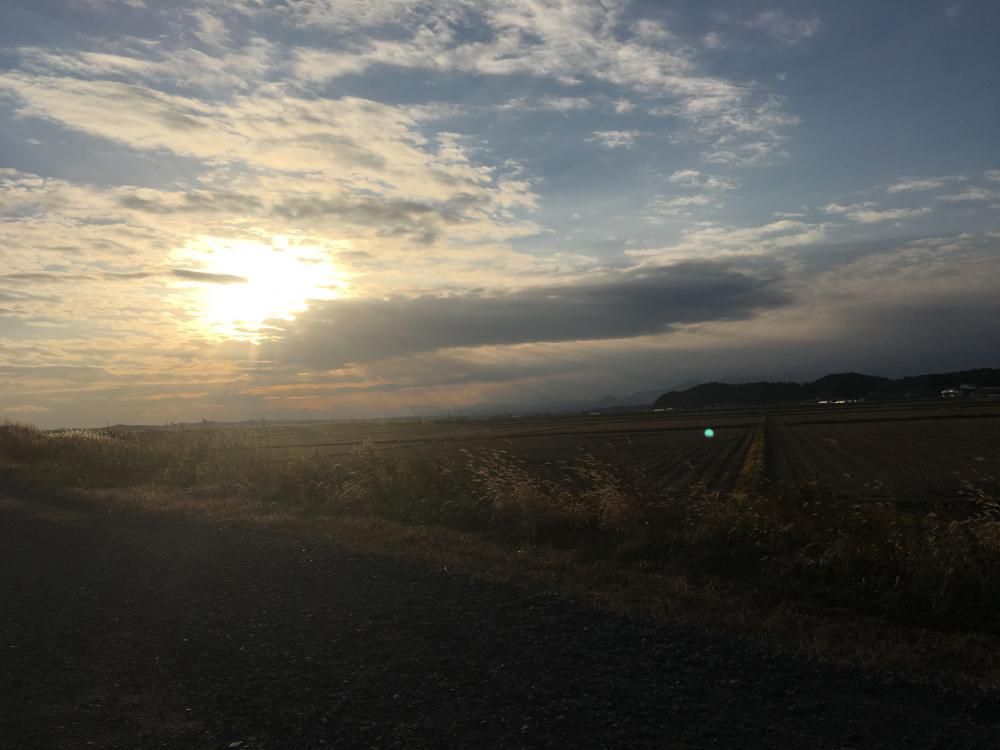 義母病みて冬日静かに差しにけり
