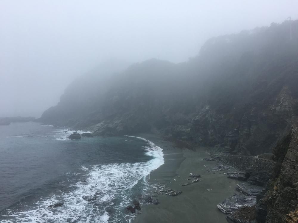 鶯や霧霧霧の佐田岬