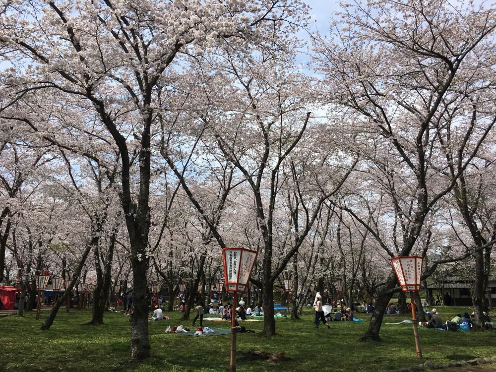 暖かし臼杵城跡の宴かな