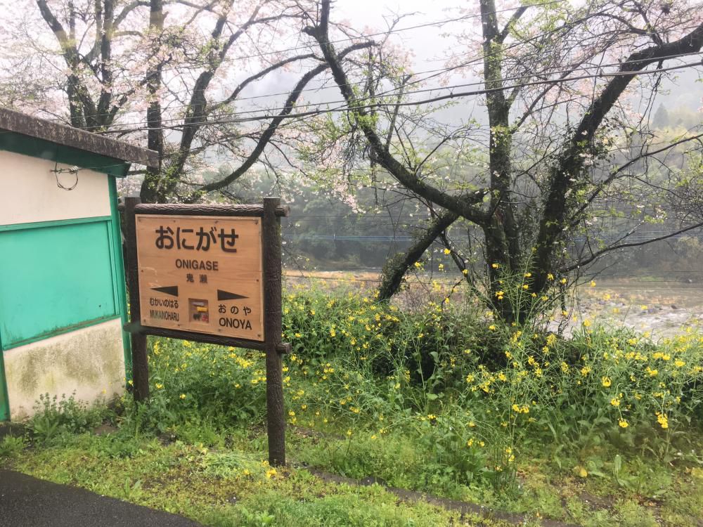 鬼瀬というところあり花霞