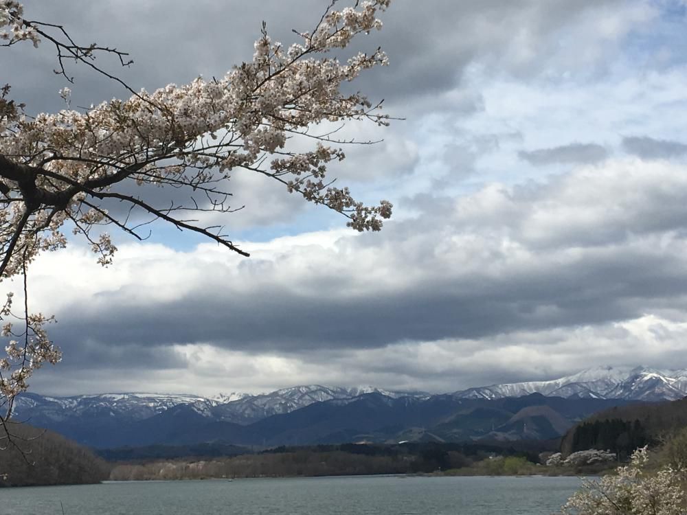 春深し蔵王の峰は輝けり