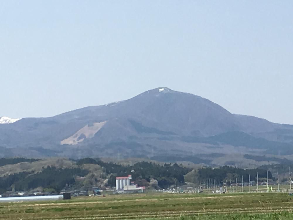 春深し雪牛日ごと細りけり