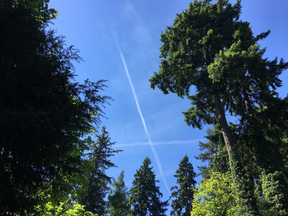 仰ぎ見る空の十字や五月晴れ