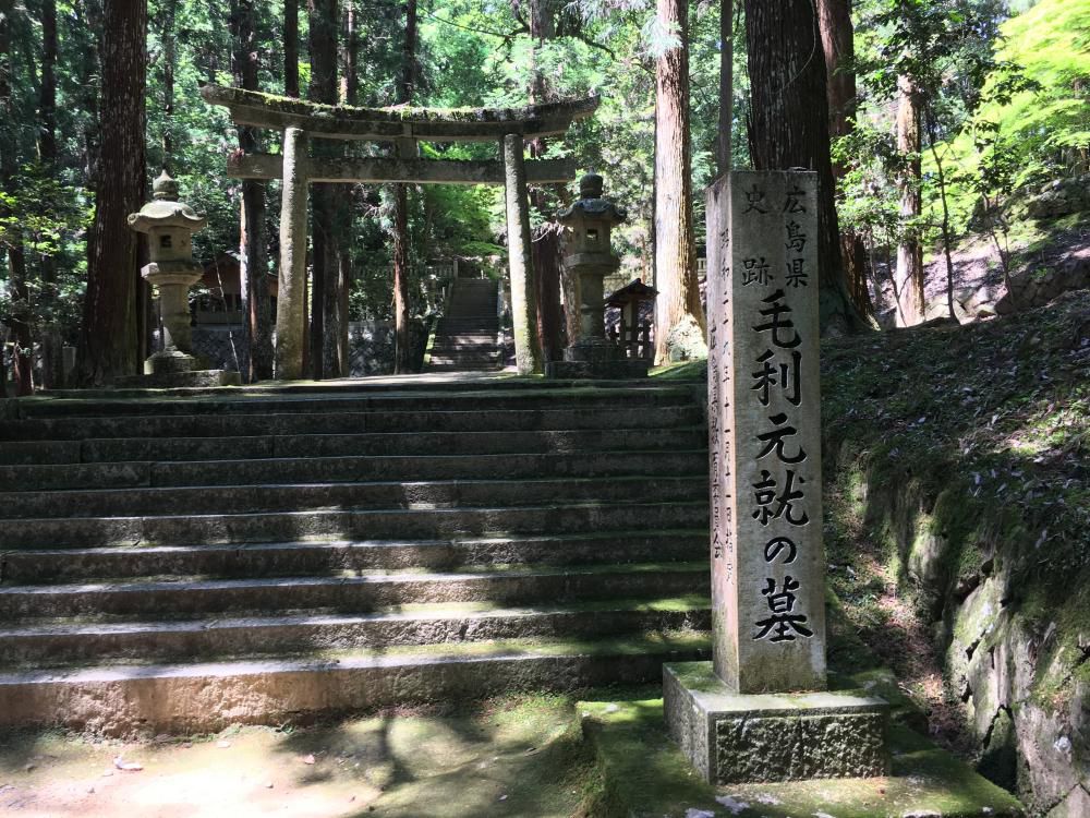 城山を登り切りけり夏の空
