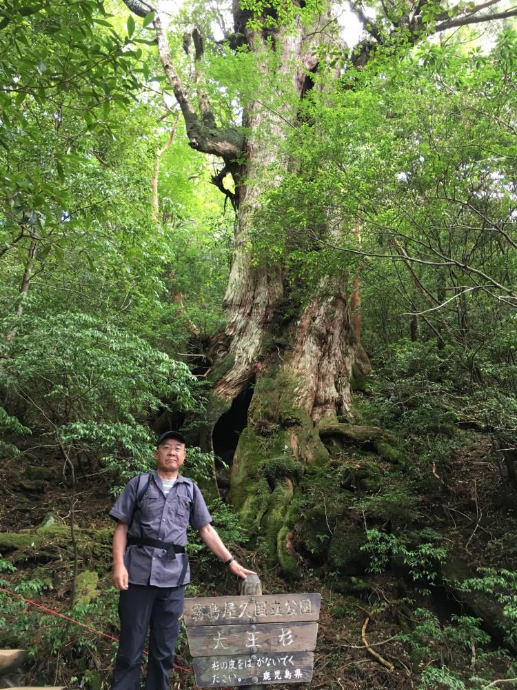 大王の威厳を今に秋暑かな