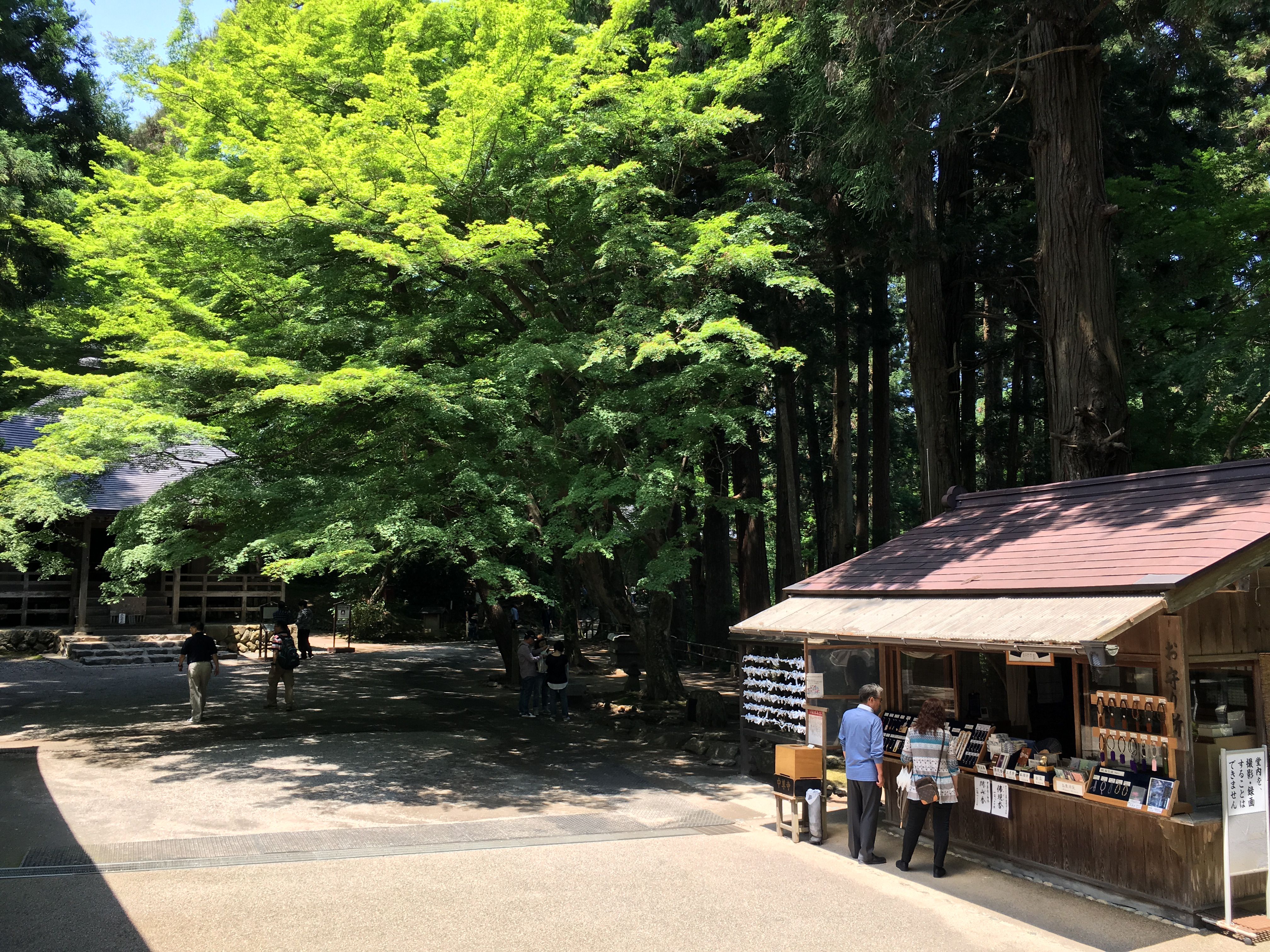 世界遺産の平泉「中尊寺」に行ってみた。