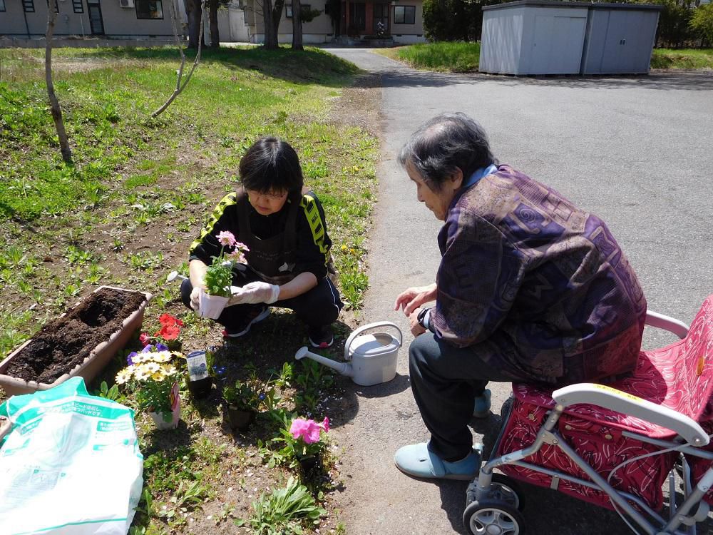 花植え　