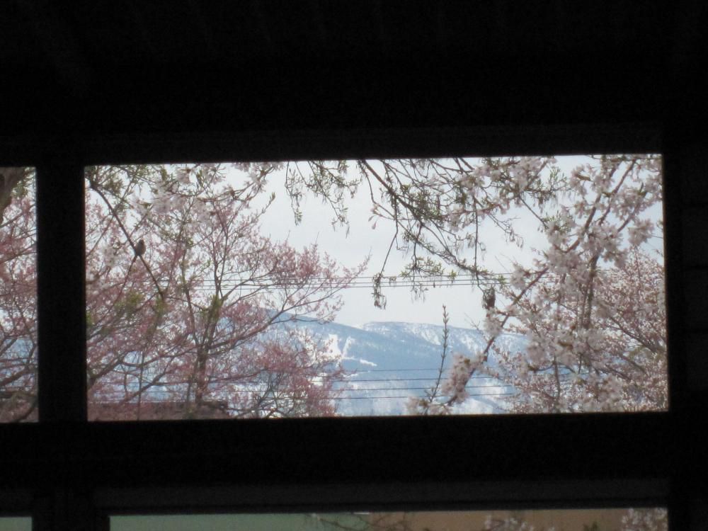 令和４年４月　花の里にも春が来ました～★