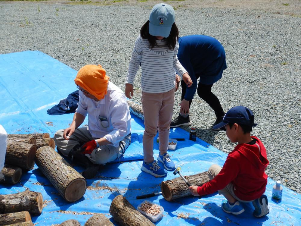 5月開催イベントのお知らせ