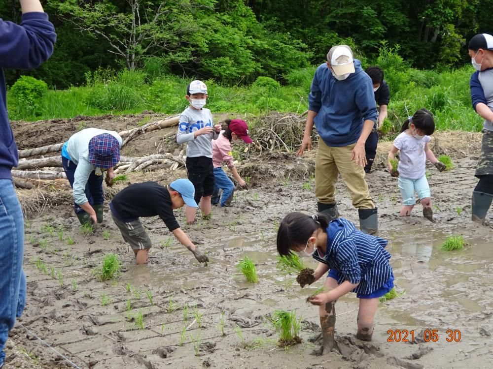 おやこで農体験の参加者募集のお知らせ