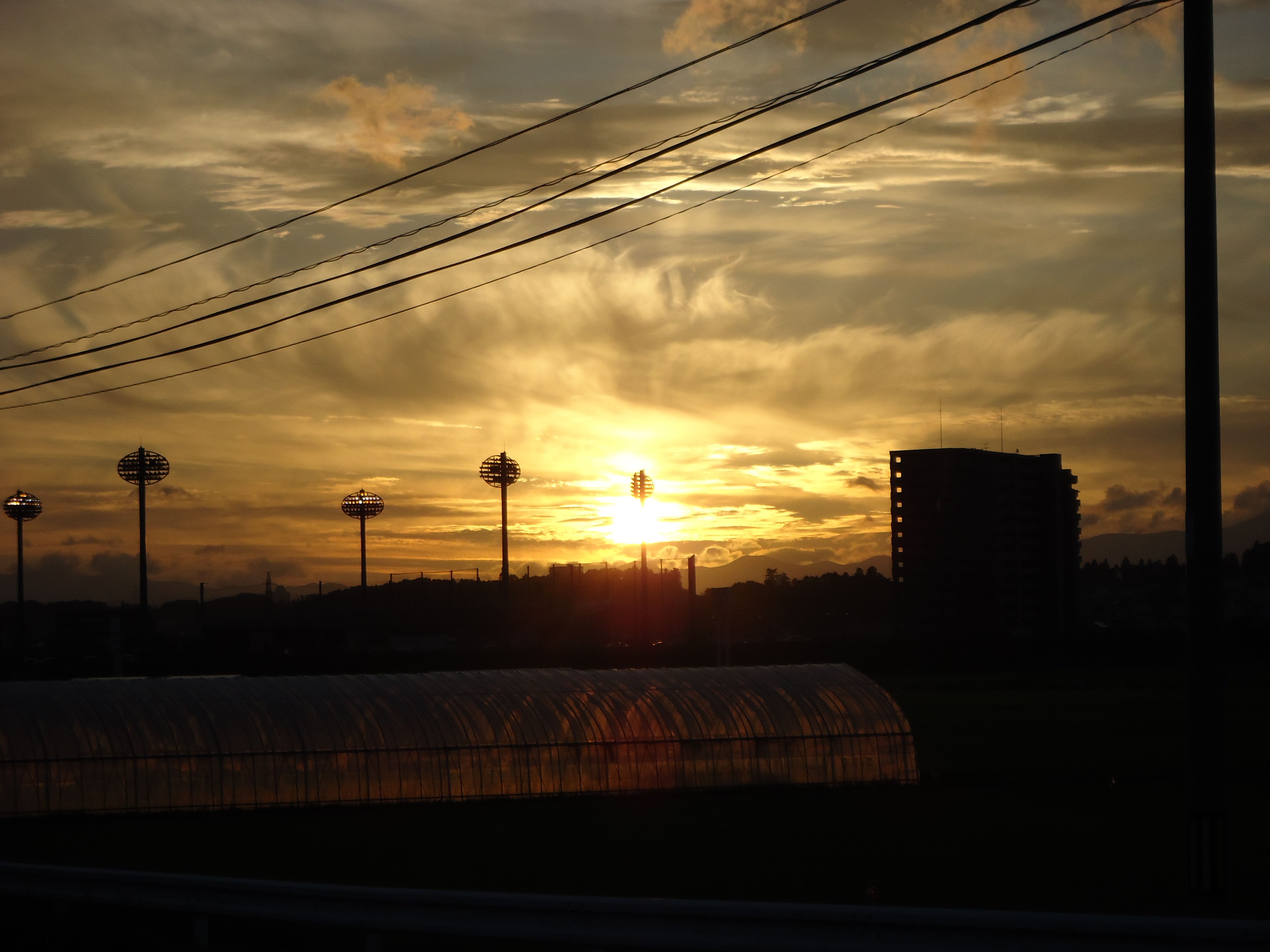 夕日