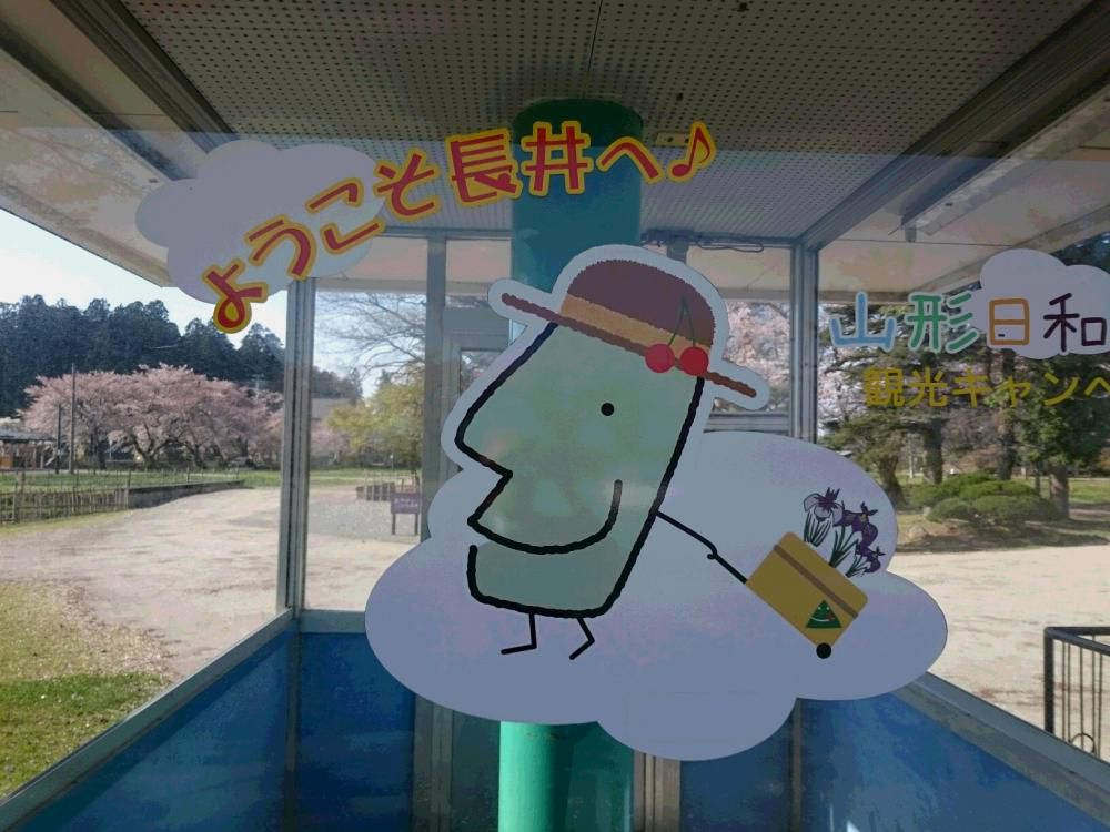 鉢植えの あやめひっそり スタンバイ