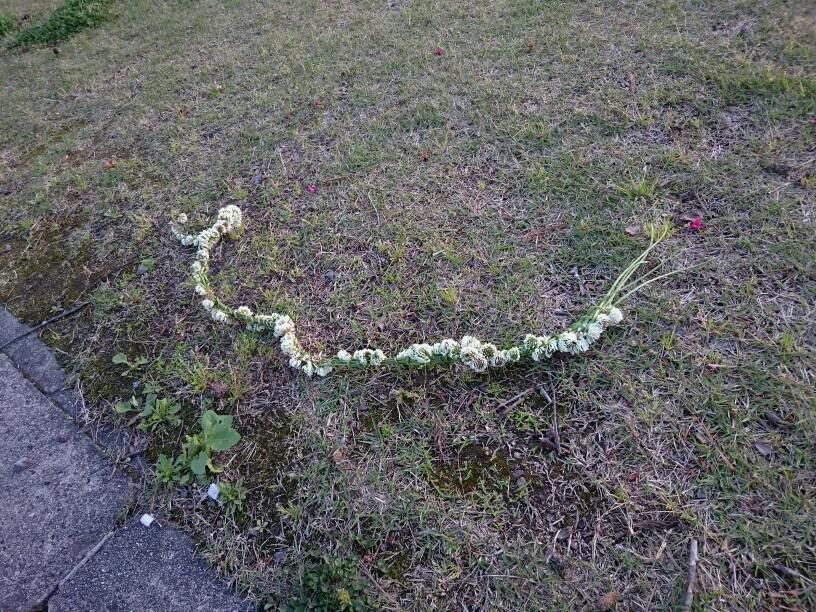 遠い日の あの娘に花の 首飾り