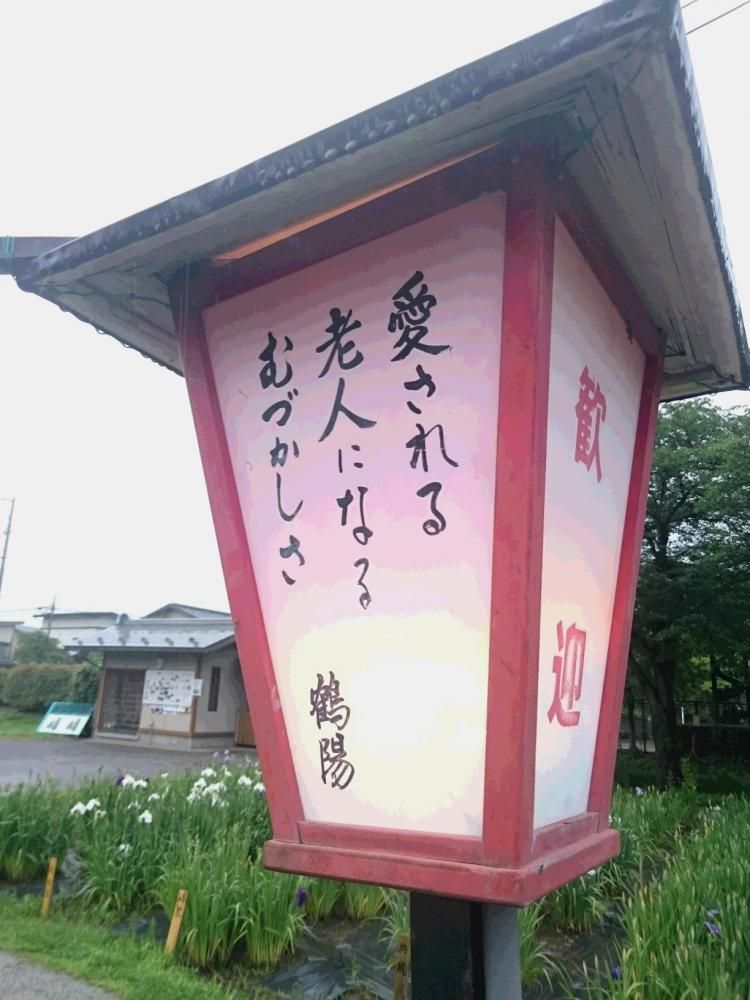 愛される　老人になる　むづかしさ　（引用）　