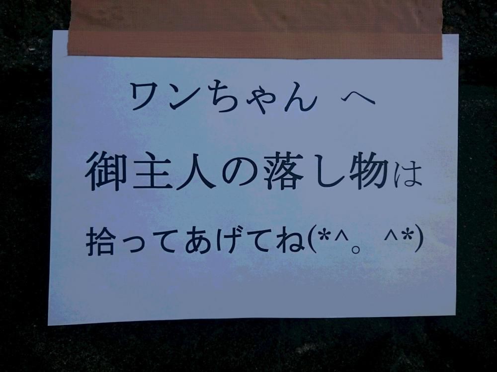 大切な　ご主人さまの　落とし物