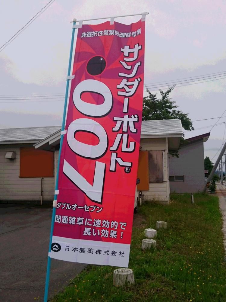 クロディーヌ・オージェにときめいた記憶