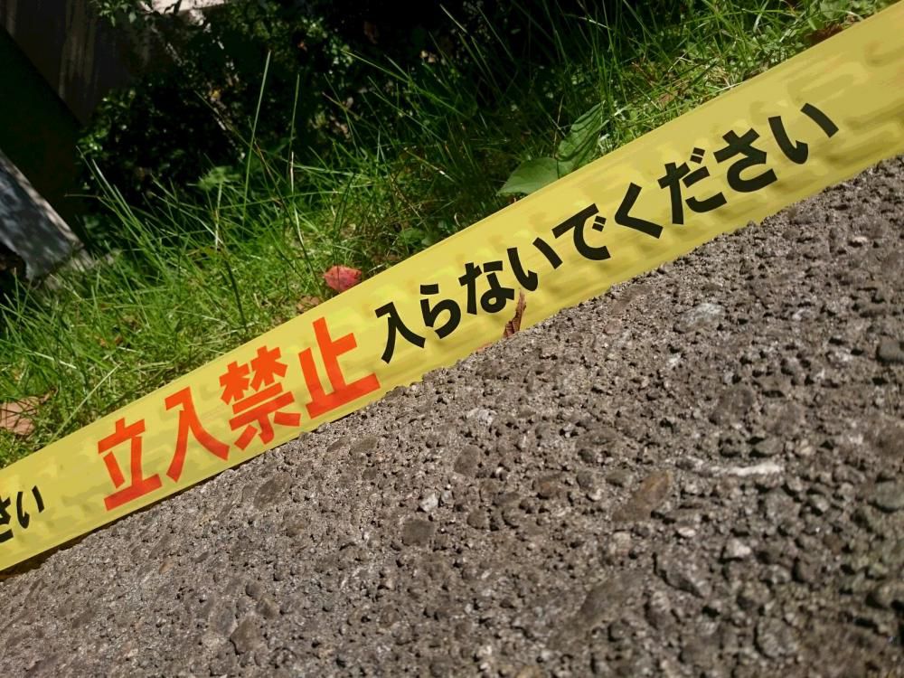クマとハチ　よりも怖いか　山の神