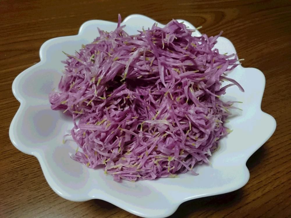 紫と　緑は秋の　ハーモニー