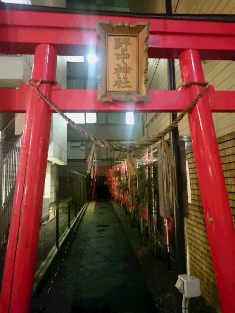 しっぽりと　野中神社で　縁結び