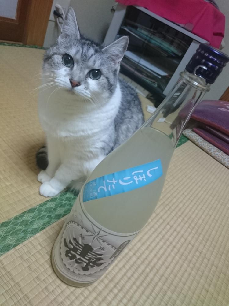 ボージョレか　ボジョレーか　いやボジョーレか